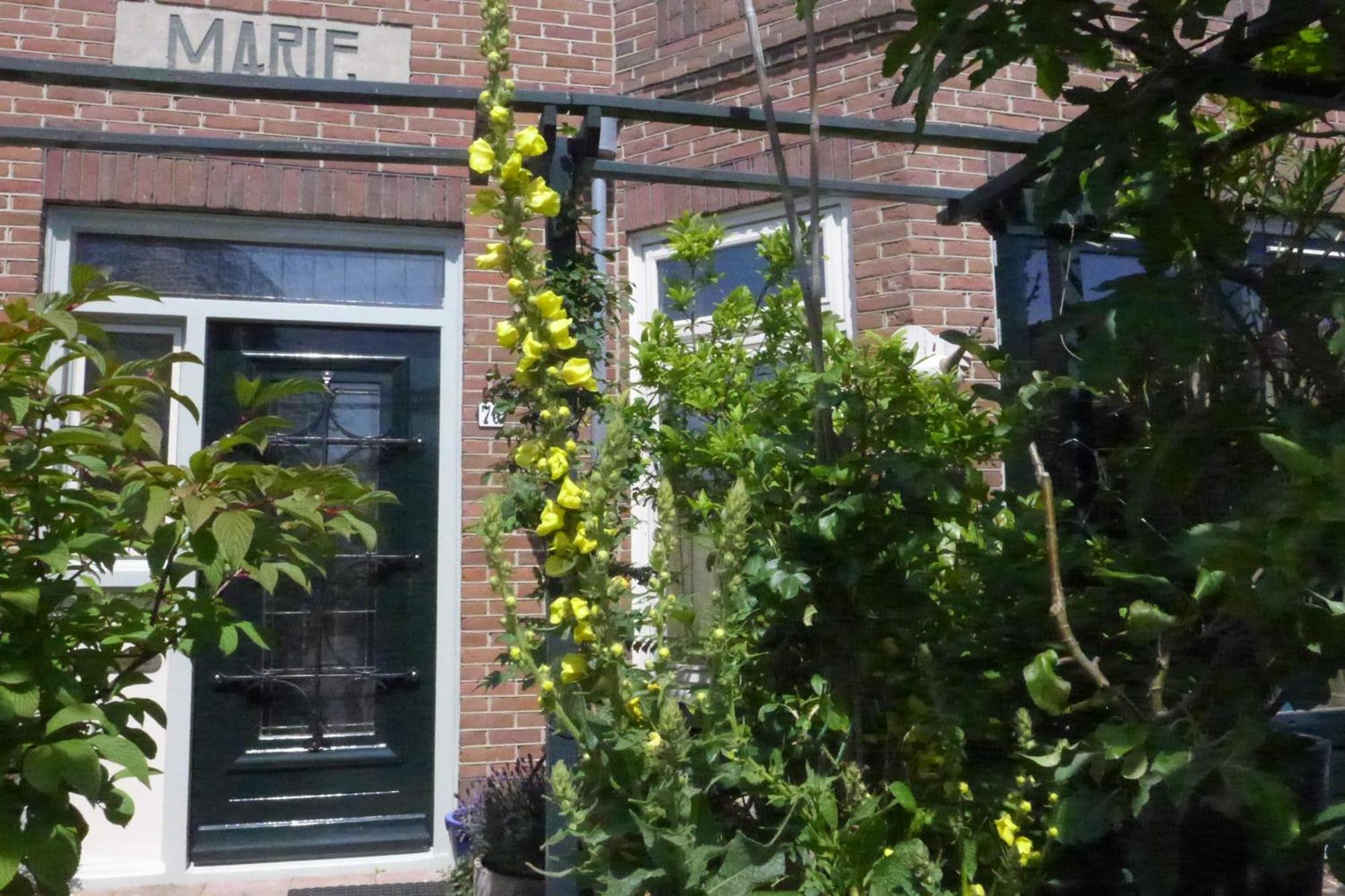 Family Home Marie Zandvoort Bagian luar foto
